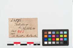 Etiketten zu Bronzenadel (NHMW-PRAE-024886)